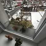 U Kuzelky 3*